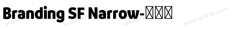 Branding SF Narrow字体转换